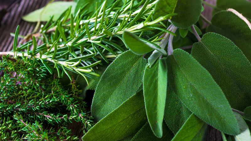 Herbaceous