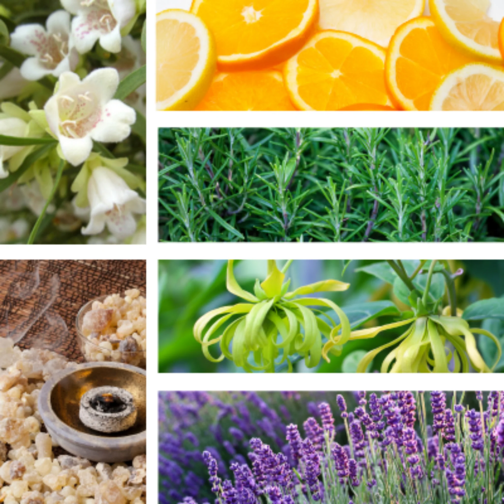 Daily Om | Aroma Mist | Meditative | Yoga Aromatherapy