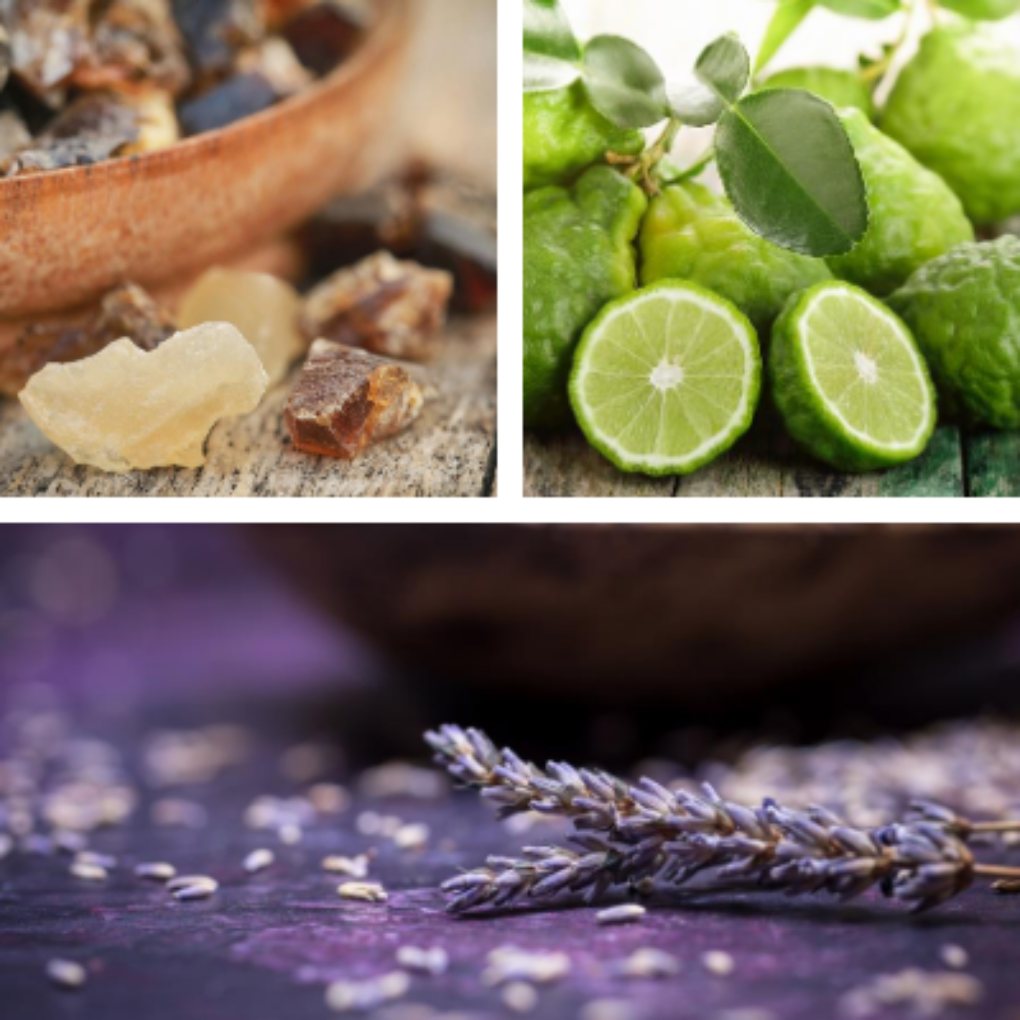 Collage of three plants making up Angels Breath essential oil blend: frankincense, bergamot, and lavender.