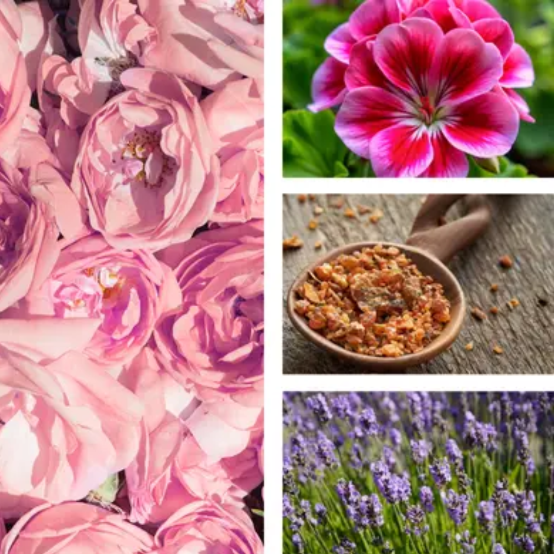 Blossom Apothecary Oil | Body Oil | Restorative | Rose Oil