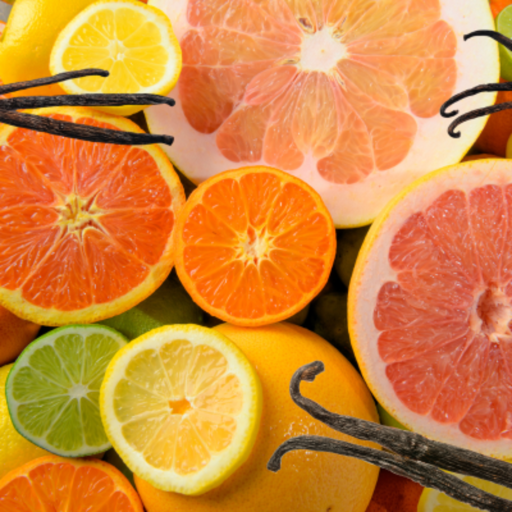 Assorted citrus fruits including oranges, lemons, and grapefruits with vanilla beans on a colorful background.