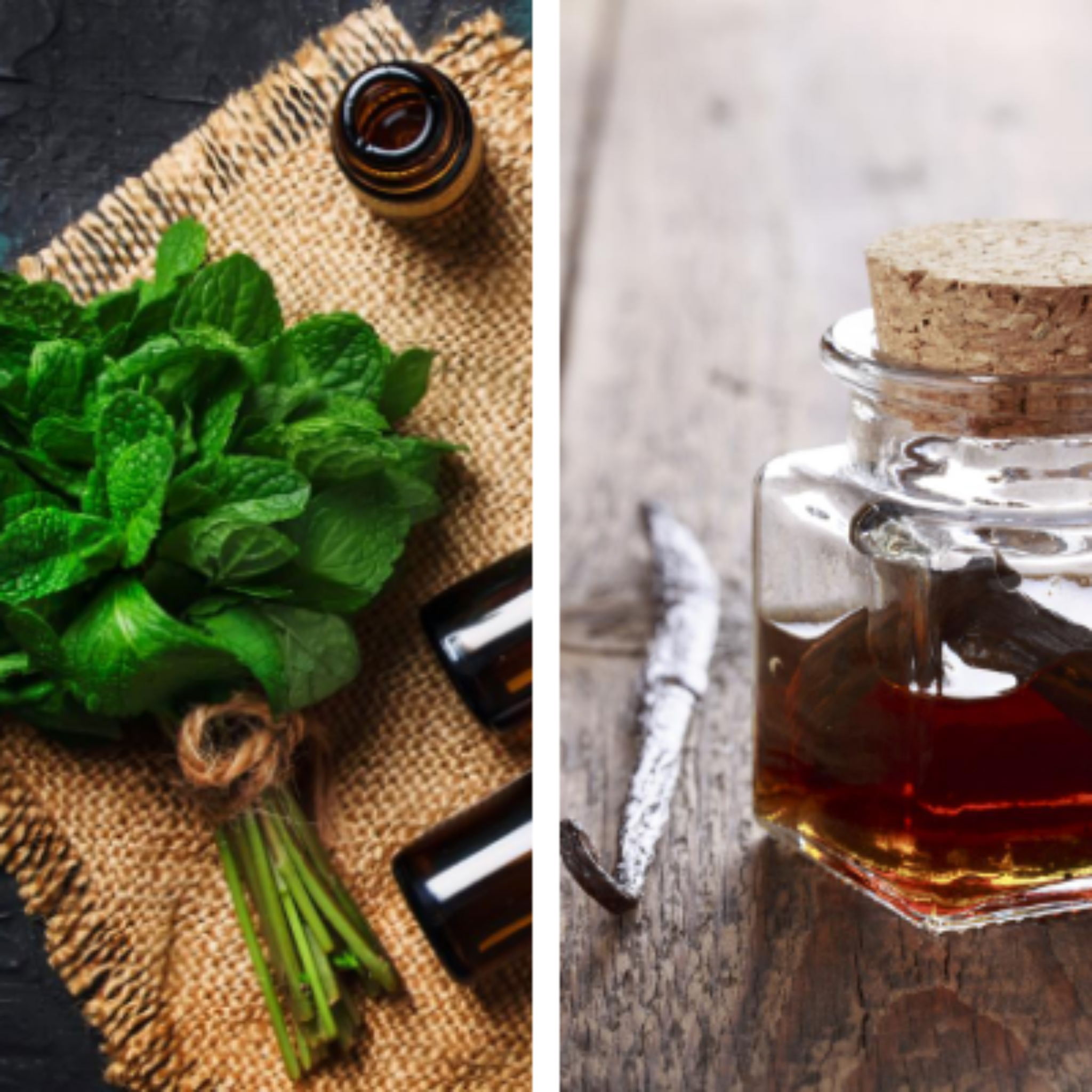Mint leaves and essential oil bottles on a textured surface, with a glass bottle of vanilla oil on a wooden background.