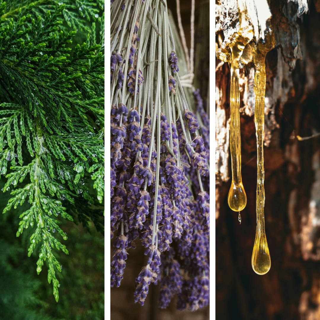 Dreamful | Aroma Mist | Soothing | Lavender