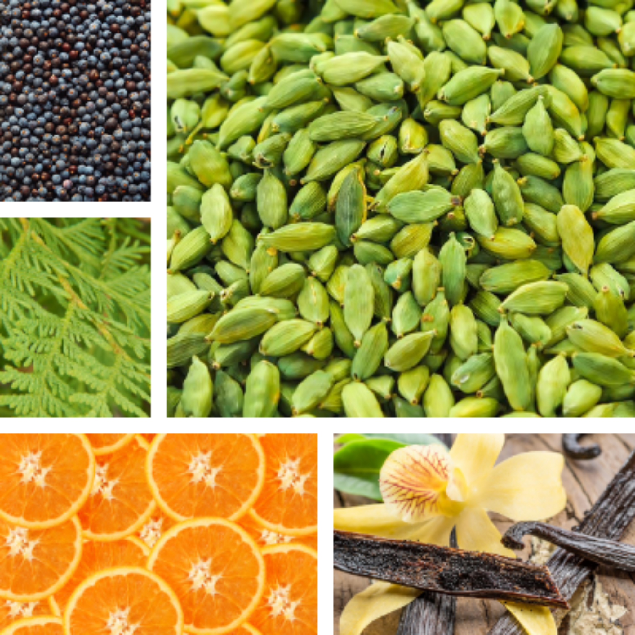 Collage of plants making up 'Fall Arise' essential oil blend.