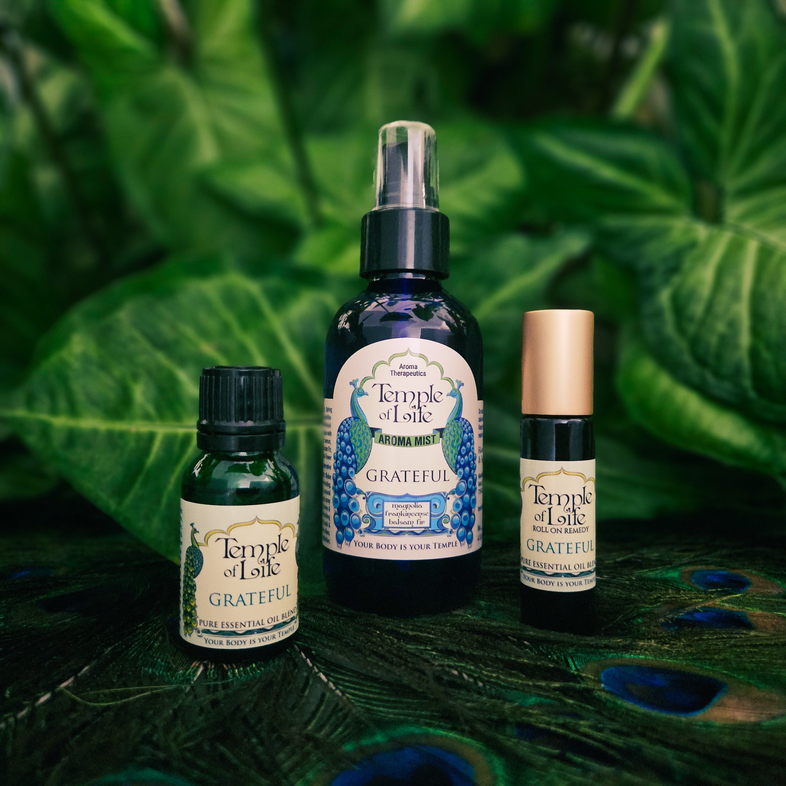 Grateful | Aroma Mist | Releasing | Frankincense