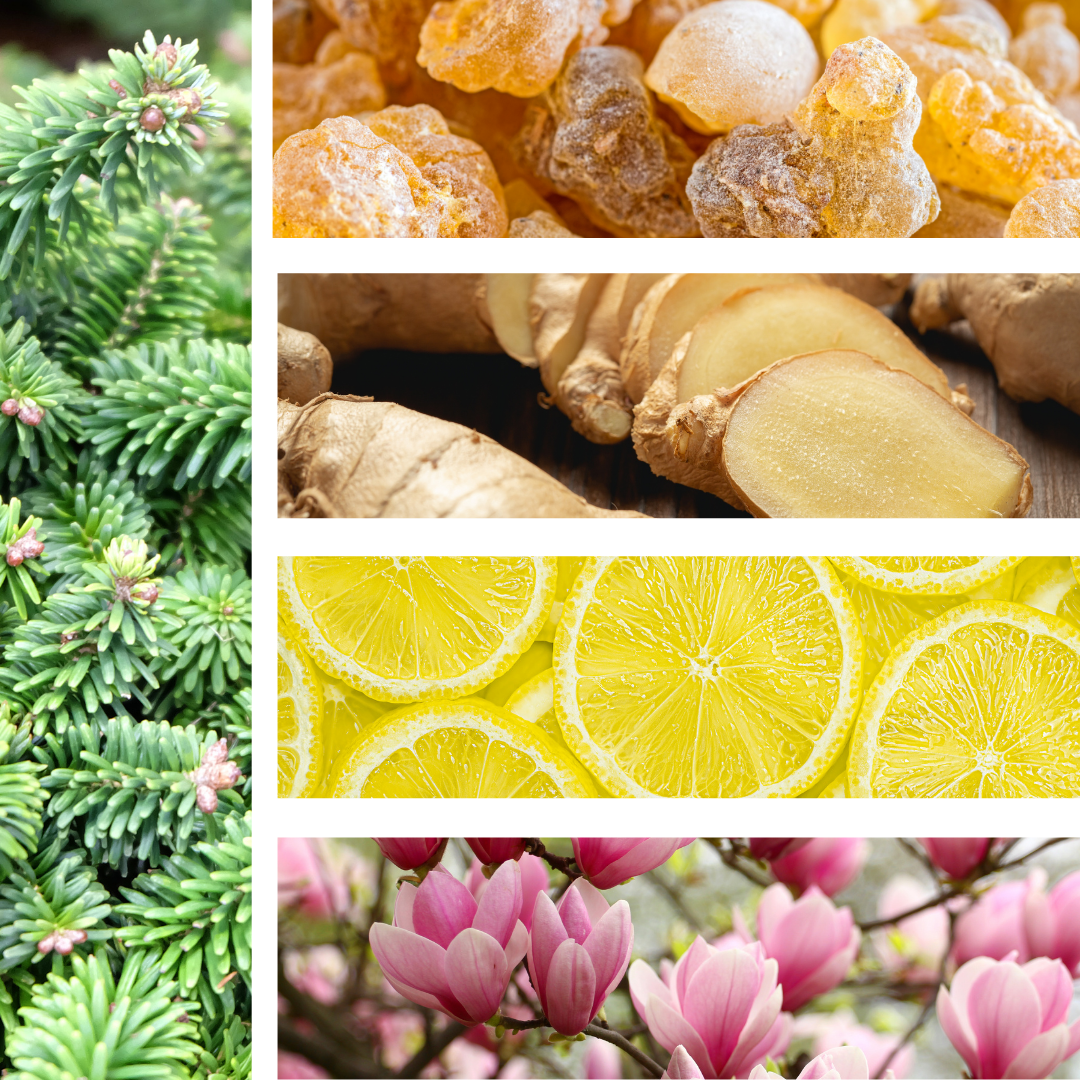 Grateful | Aroma Mist | Releasing | Frankincense