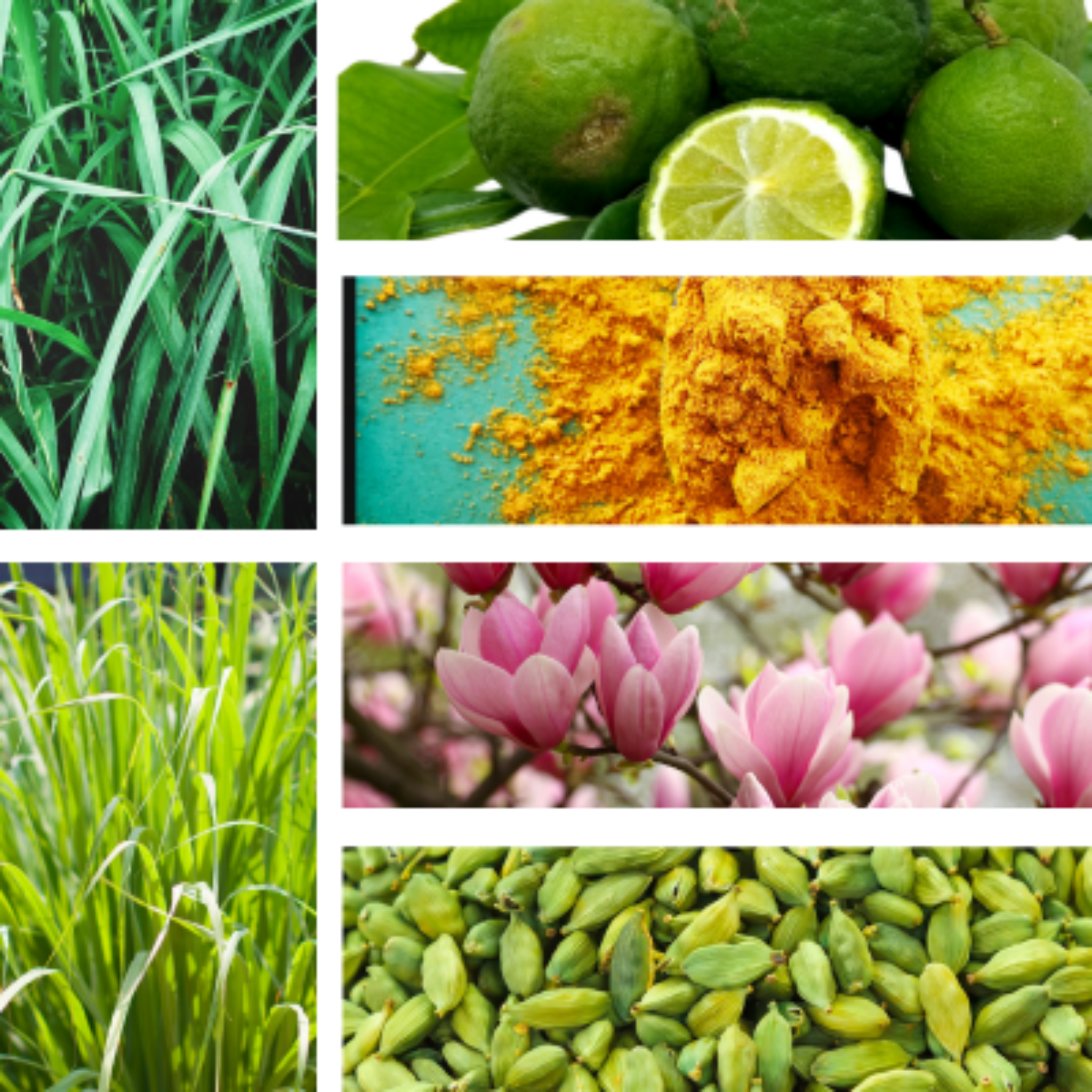 Collage of essential oil ingredients for Now & Zen meditation and yoga blend.