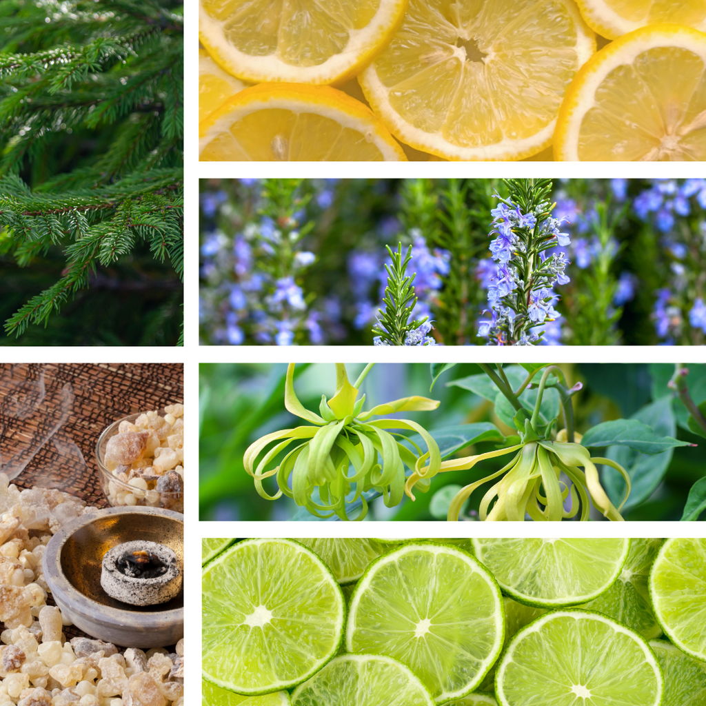 Zenful | Aroma Mist | Vibrant | Lime