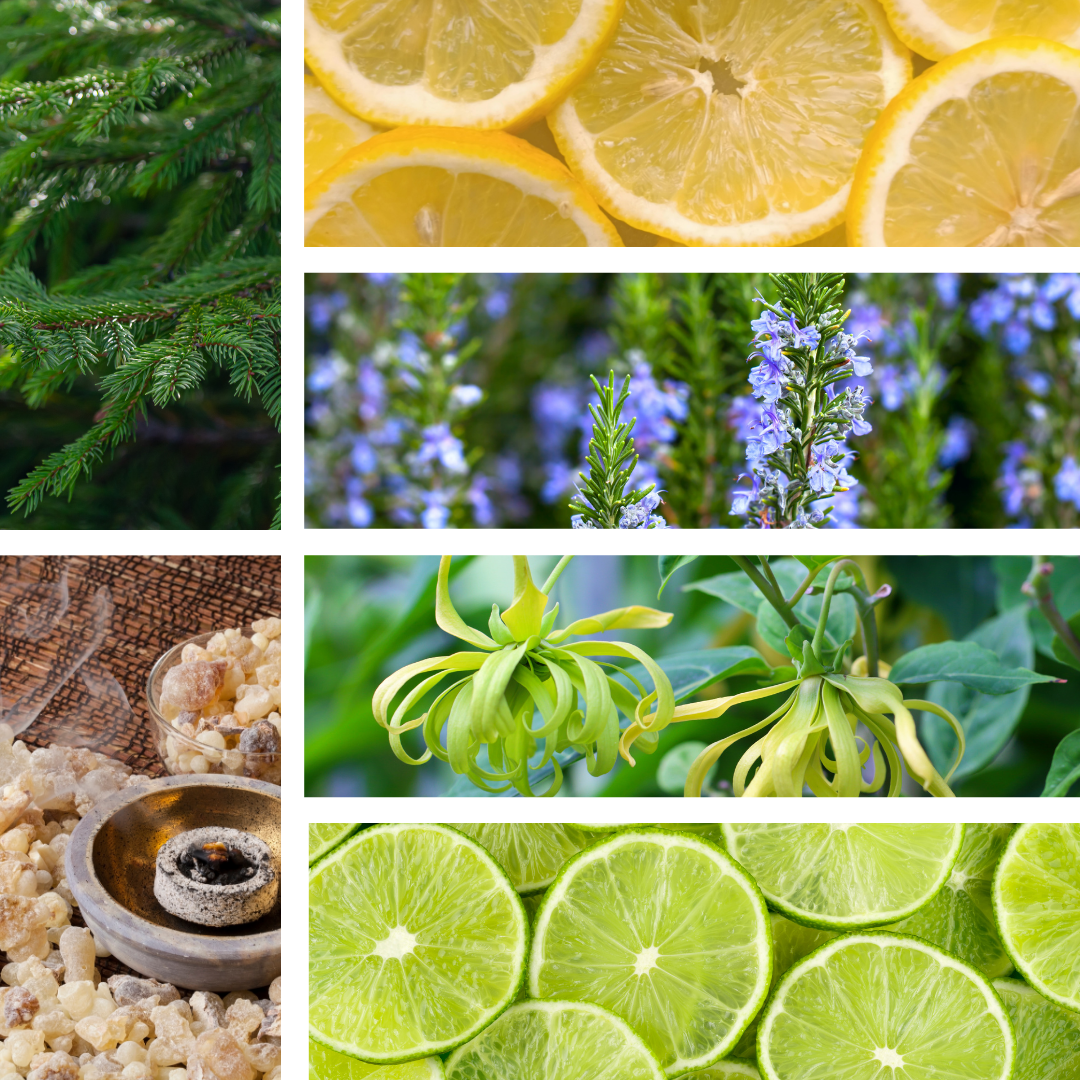 Zenful | Aroma Mist | Vibrant | Lime